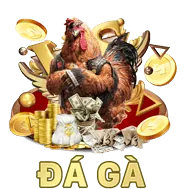 Hoàn trả cược đá gà hàng tuần